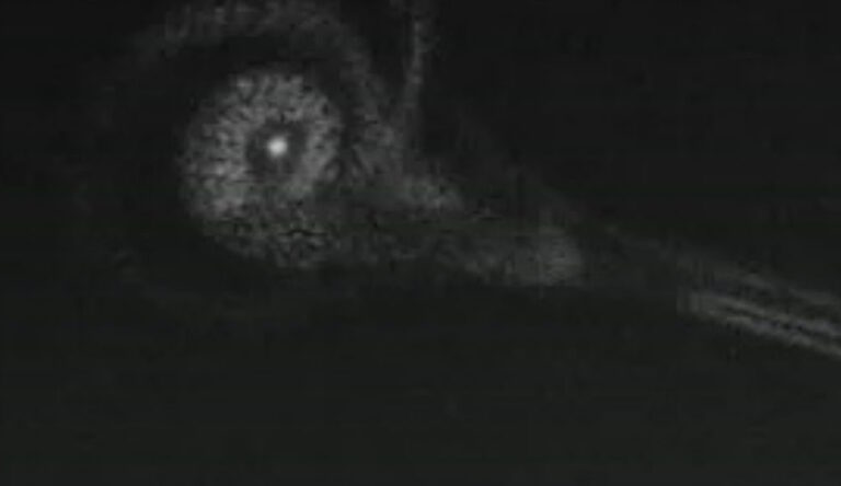 La première photo d'un météore