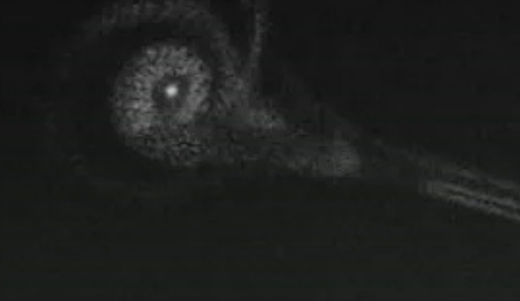 La première photo d'un météore